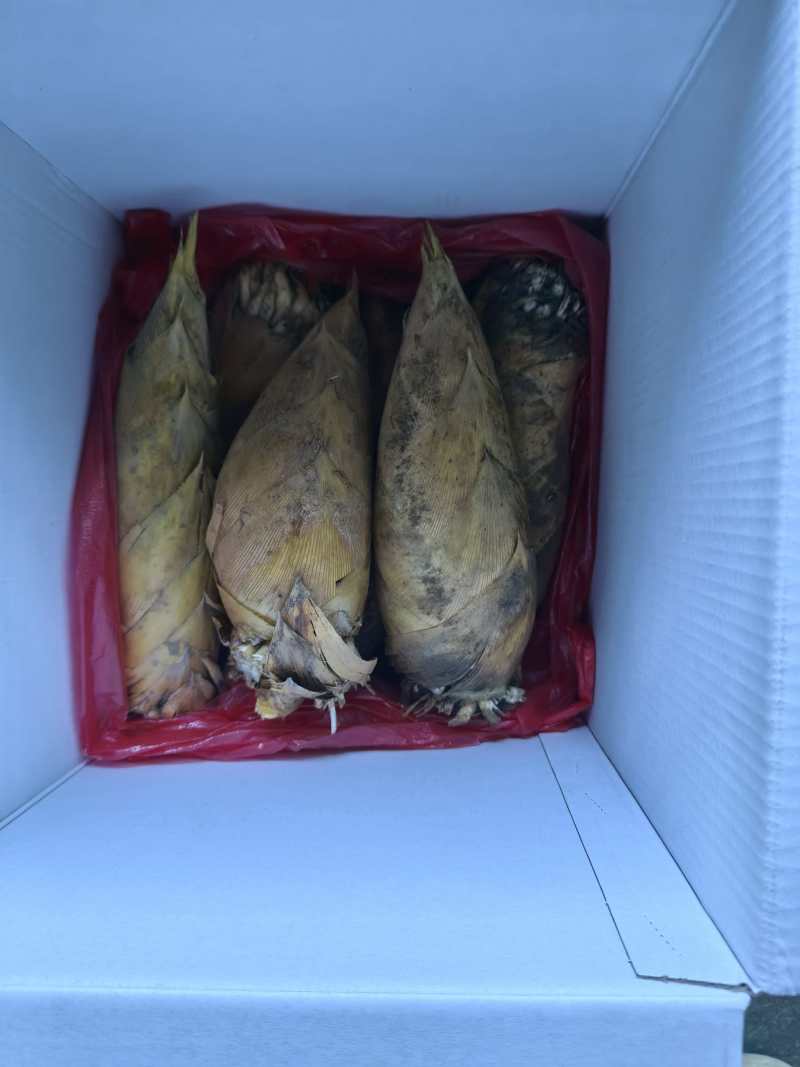 气候多旱少雨产量小，三两以上，甄选，有意向的优质客户，请联系