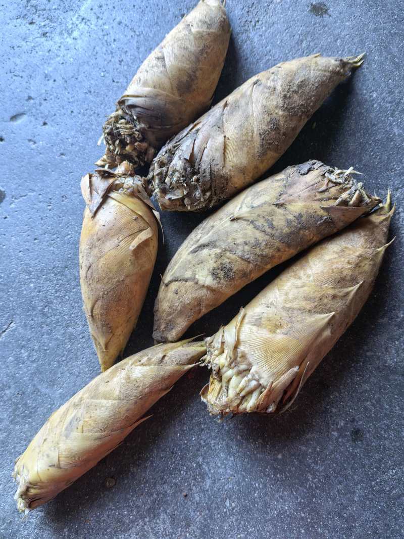 气候多旱少雨产量小，三两以上，甄选，有意向的优质客户，请联系
