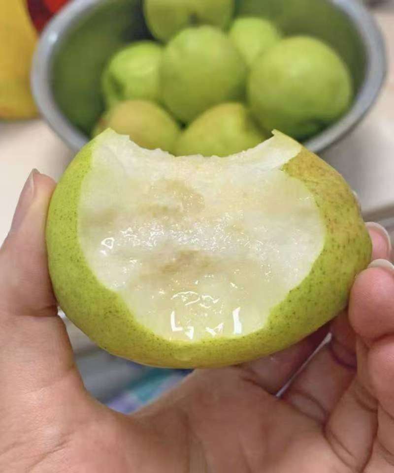 新疆库尔勒香梨，酥梨