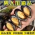 舟山养殖基地贻贝