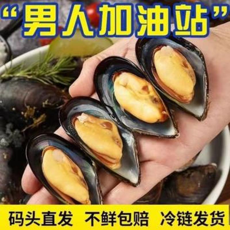 舟山养殖基地贻贝