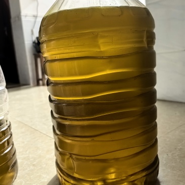 传统压榨茶籽油