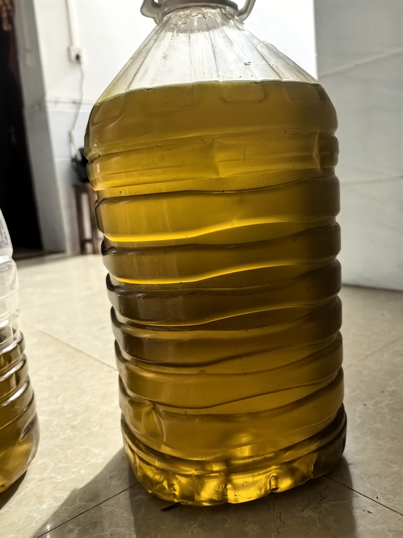 传统压榨茶籽油
