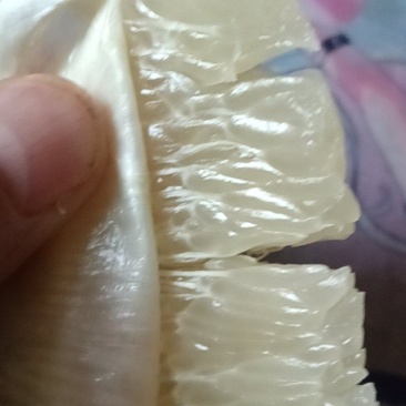 马家柚7元每斤，量大可优惠