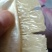 马家柚7元每斤，量大可优惠