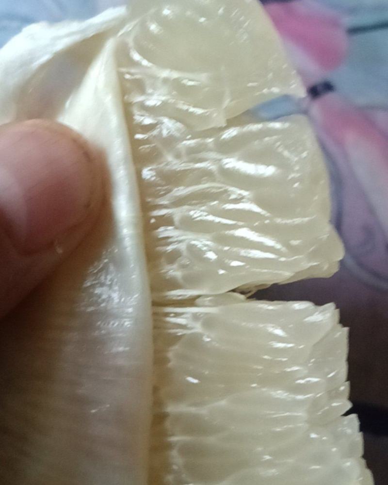 马家柚7元每斤，量大可优惠