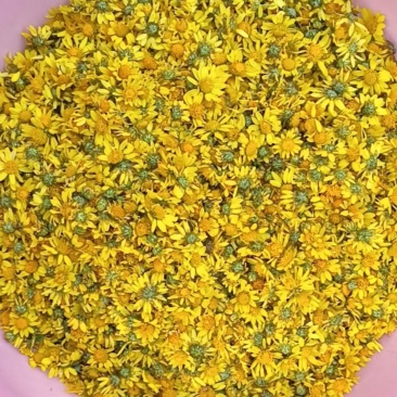 鲜野菊花