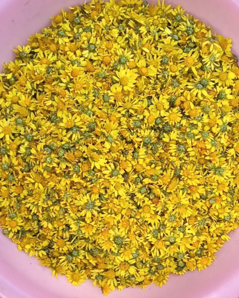 鲜野菊花