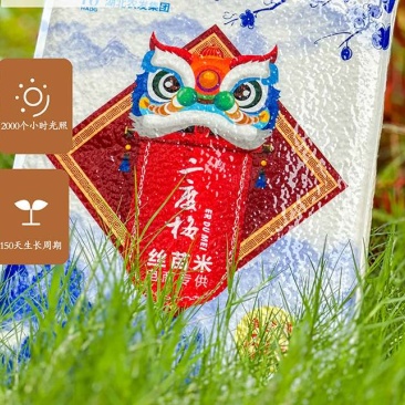 丝苗米籼米
