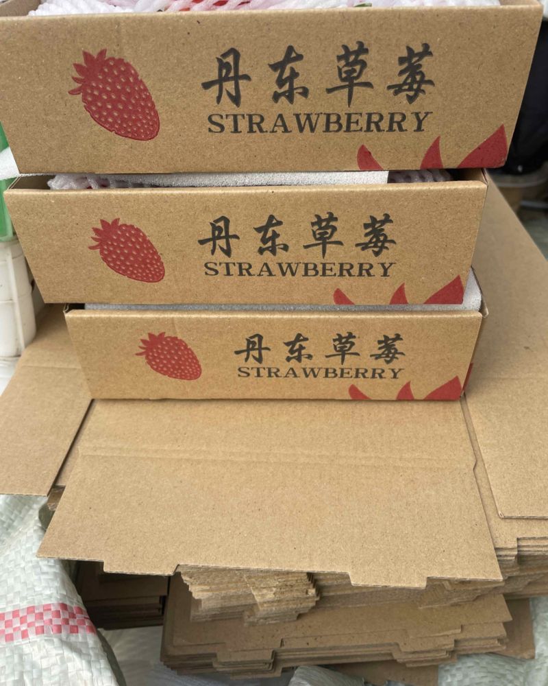 丹东九九草莓