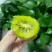 陕西周至猕猴桃