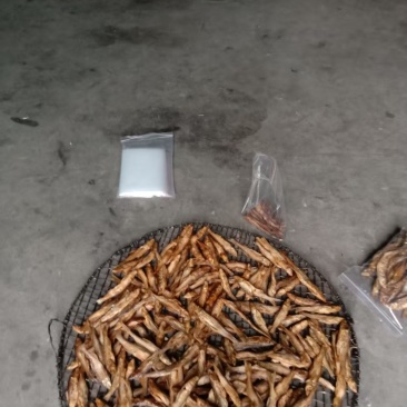 鱼干