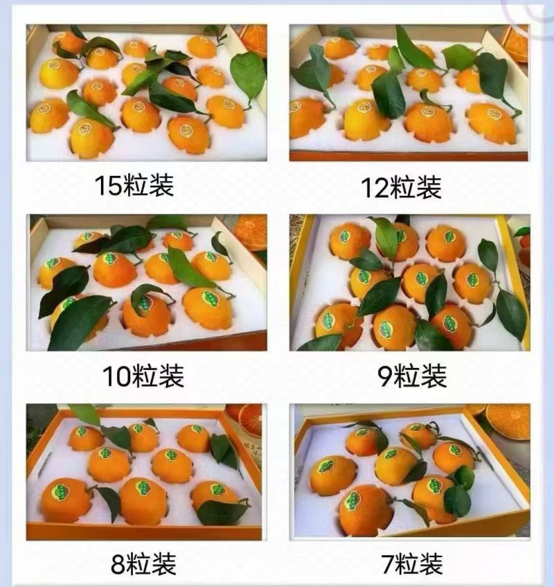 浙江省宁波市象山红美人