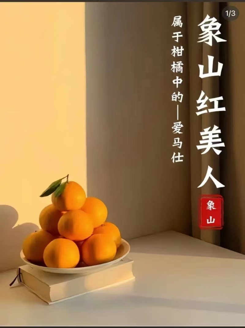 浙江省宁波市象山红美人