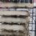 霉豆腐