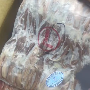 二级鸭舌山东厂家直销价格便宜