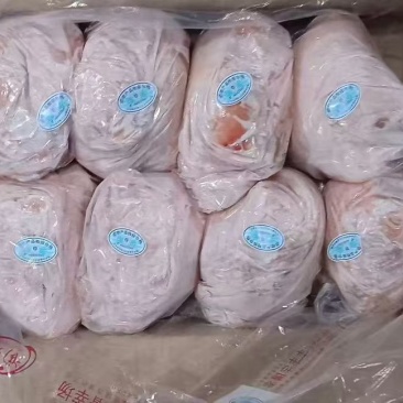 8个后肘单个单包13800