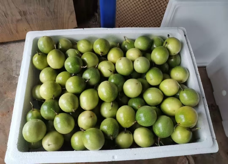 清仓处理百香果批发