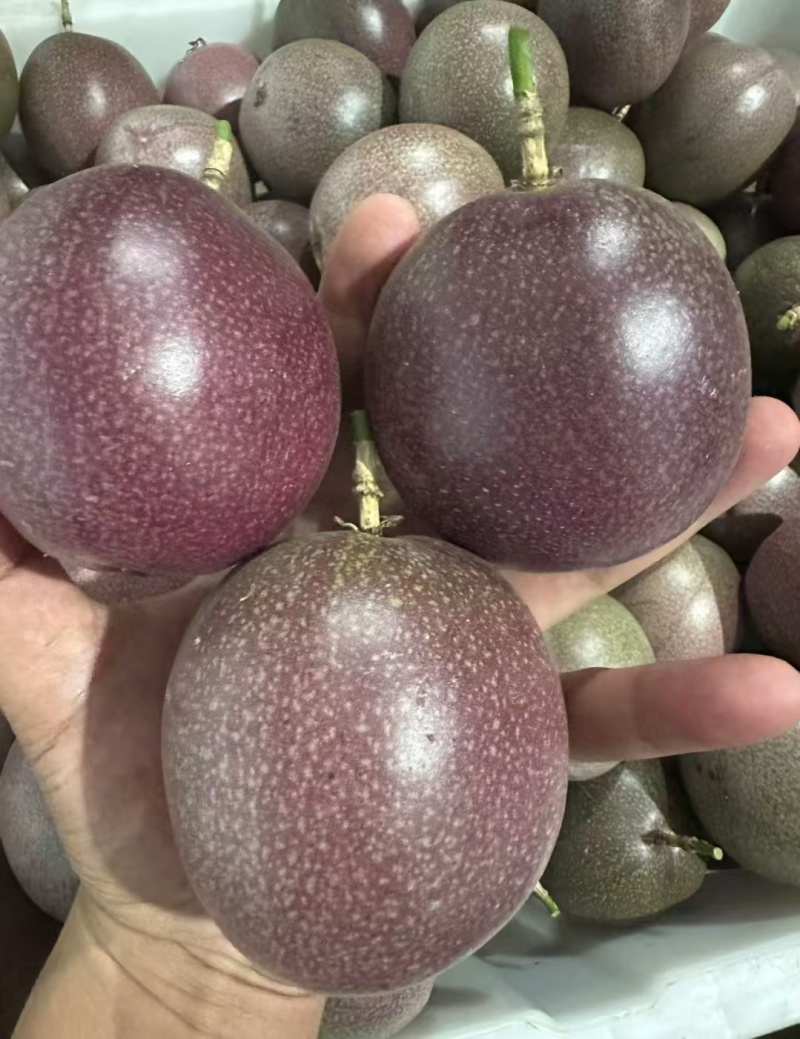 蜜桃百香果批发