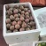 蜜桃百香果批发