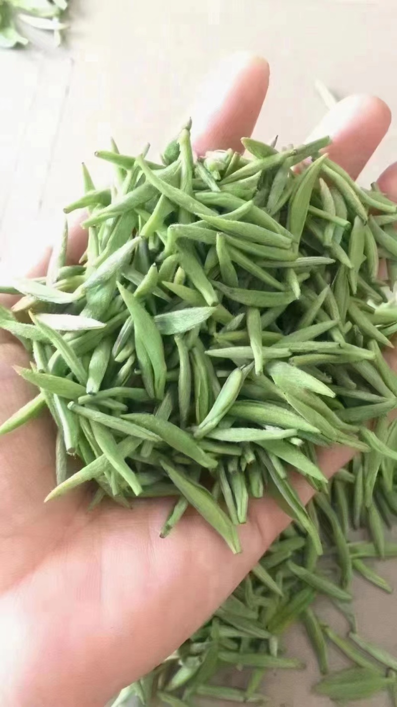 东山碧螺春