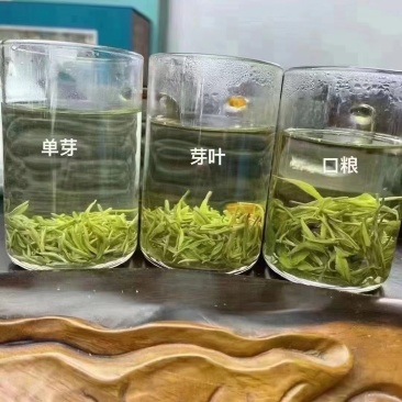 东山碧螺春