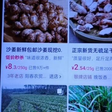 沙姜