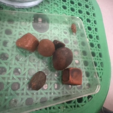 天然牛黄
