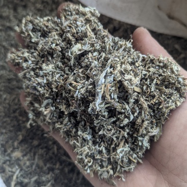 红白茶茶碎，茶末