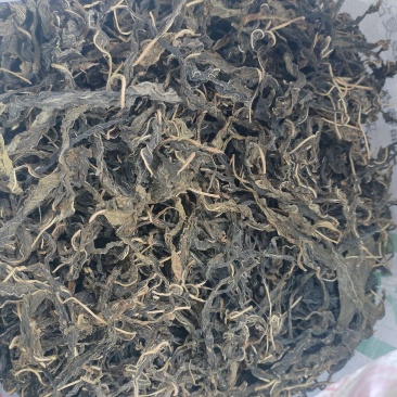 干芝麻叶