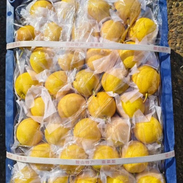 鞍山南果梨2块钱一斤，一箱也就20斤左右。便宜卖了。