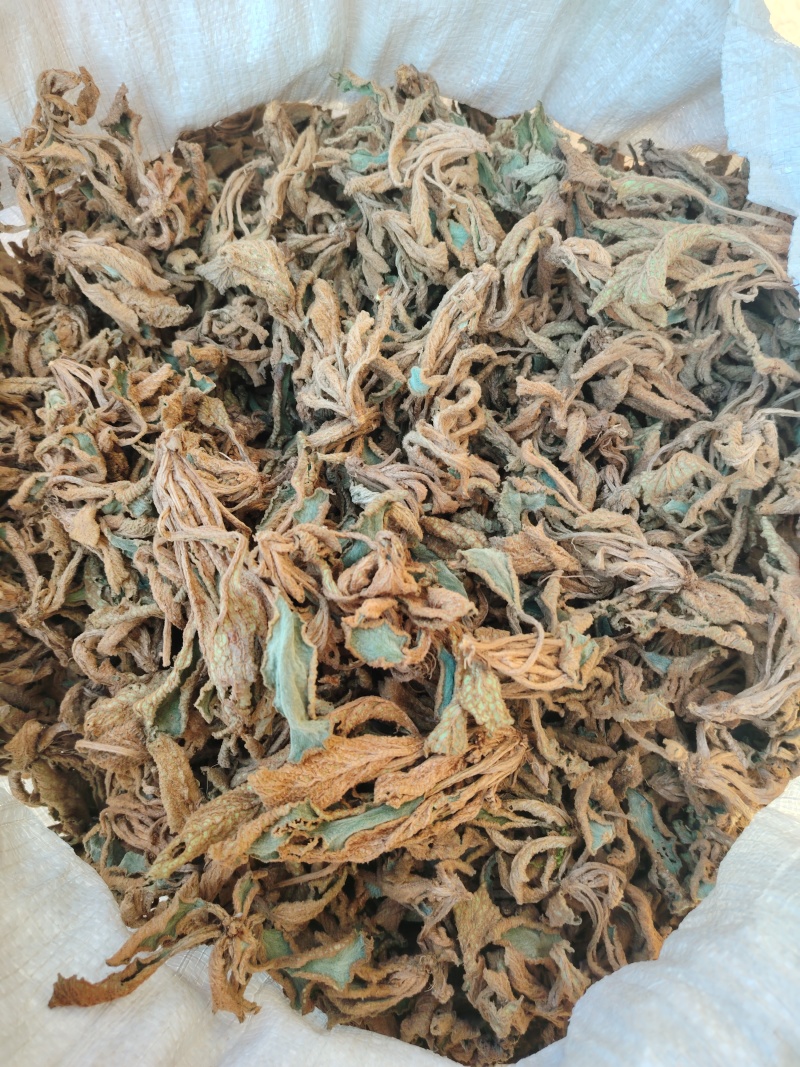 石上莲