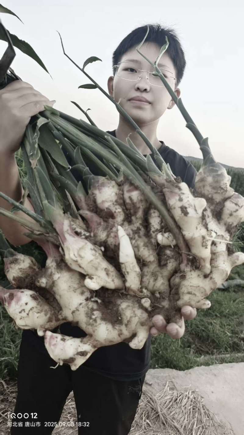 生姜