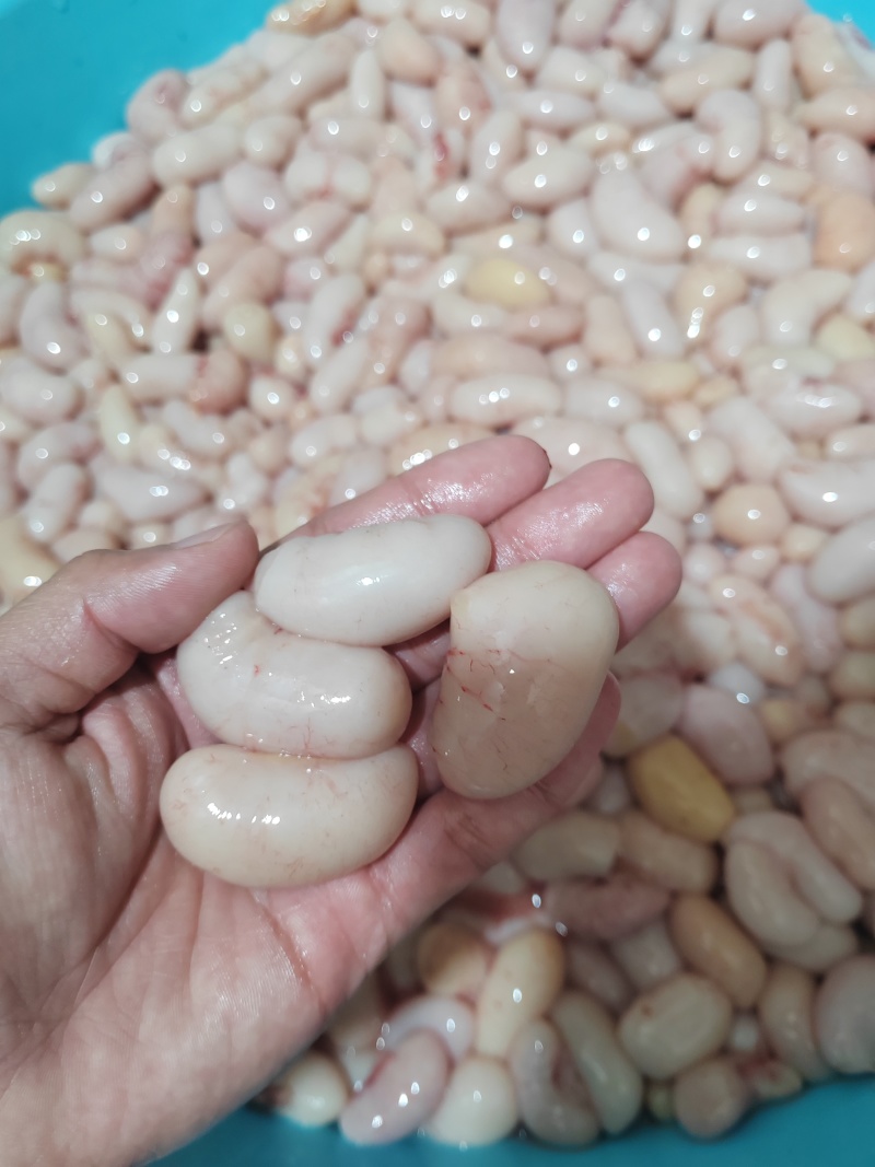 新鲜鸡子