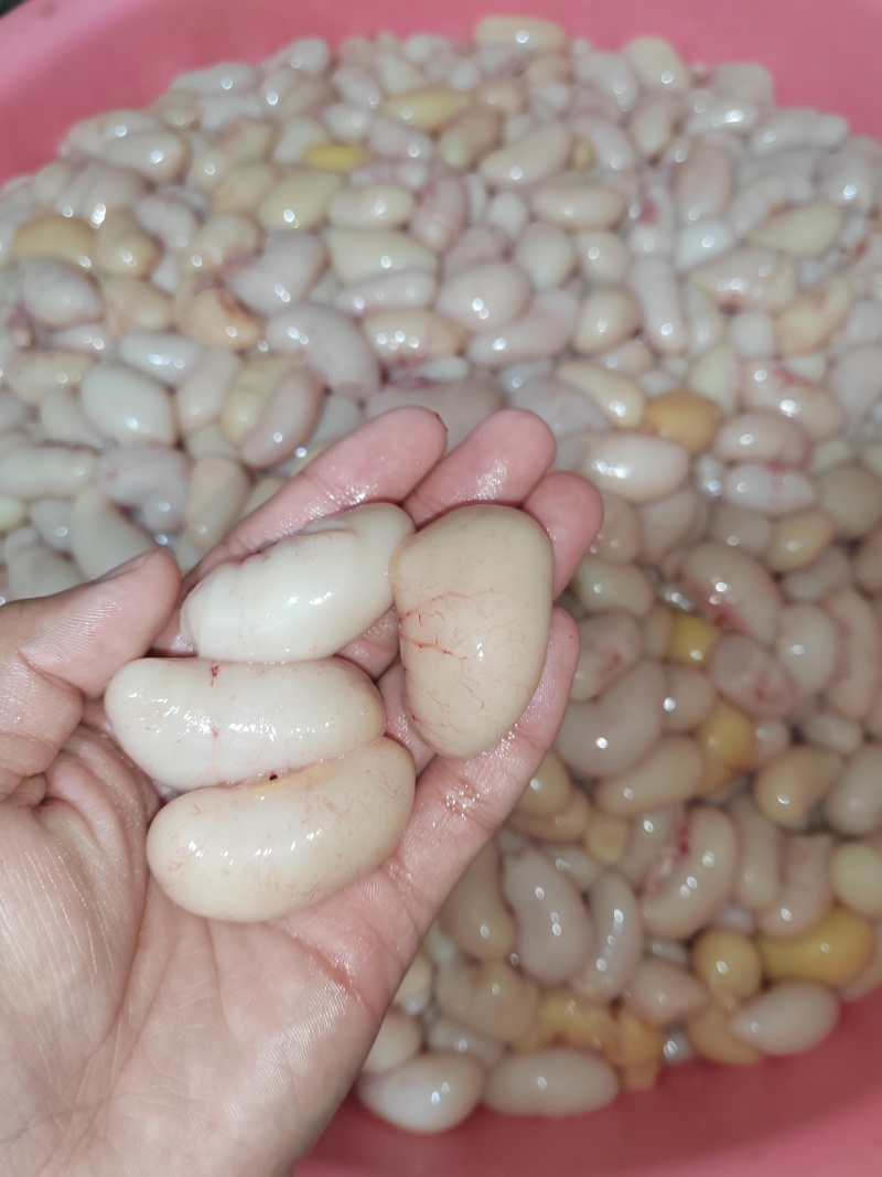 新鲜鸡子