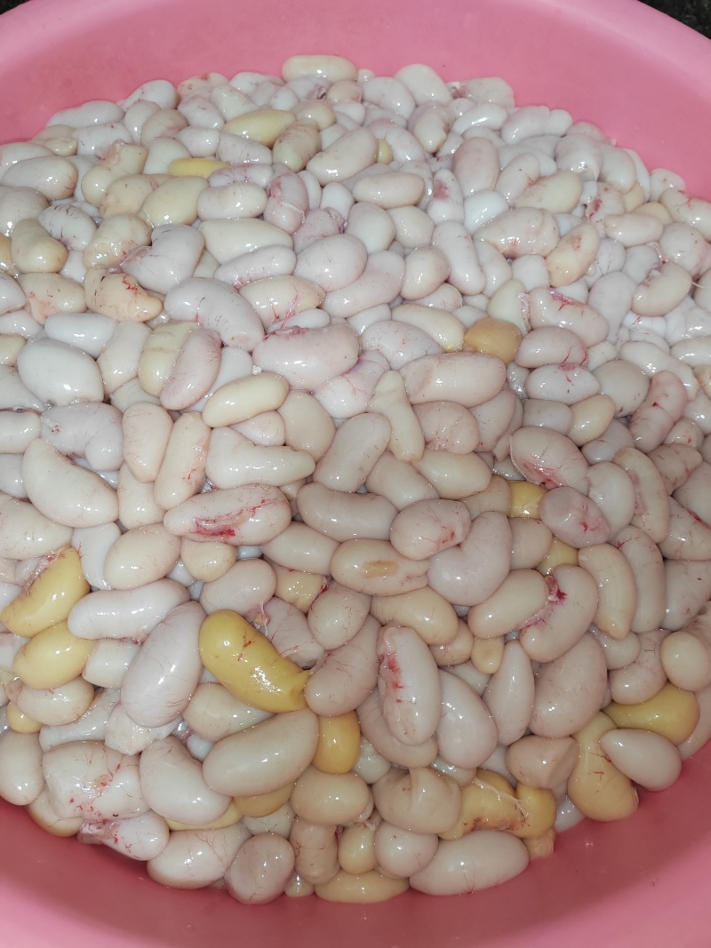新鲜鸡子