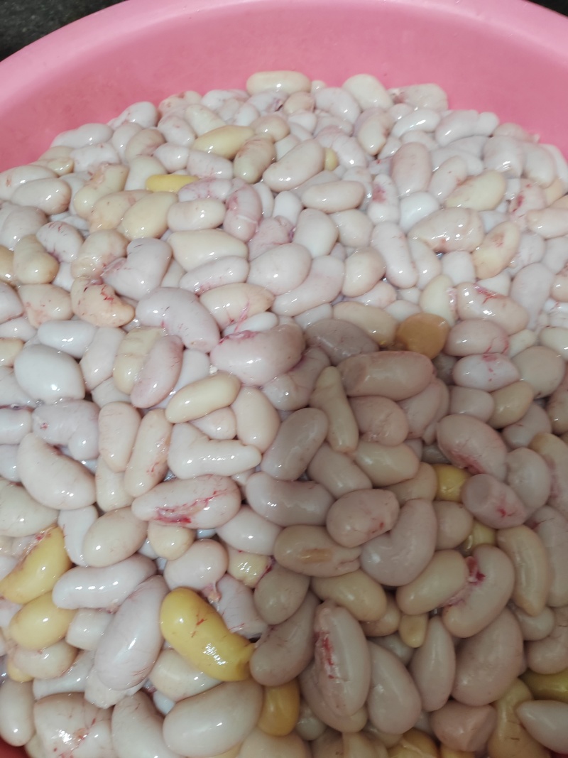 新鲜鸡子
