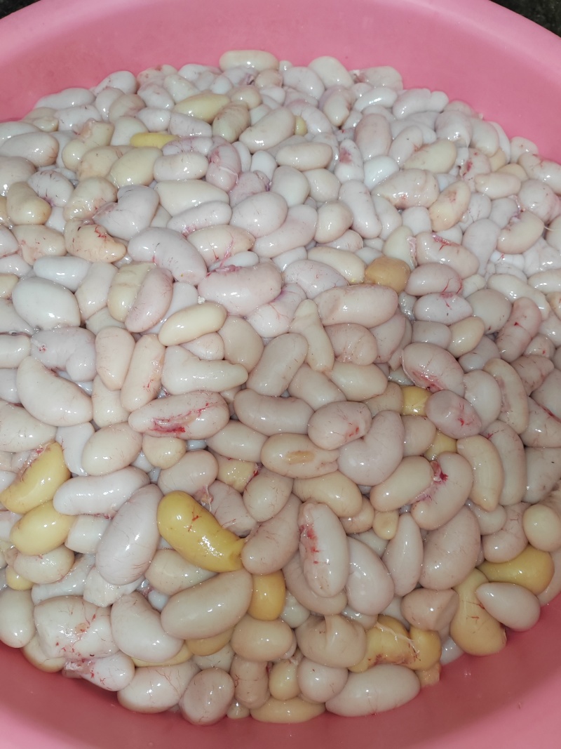 新鲜鸡子