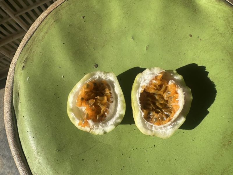 百香果