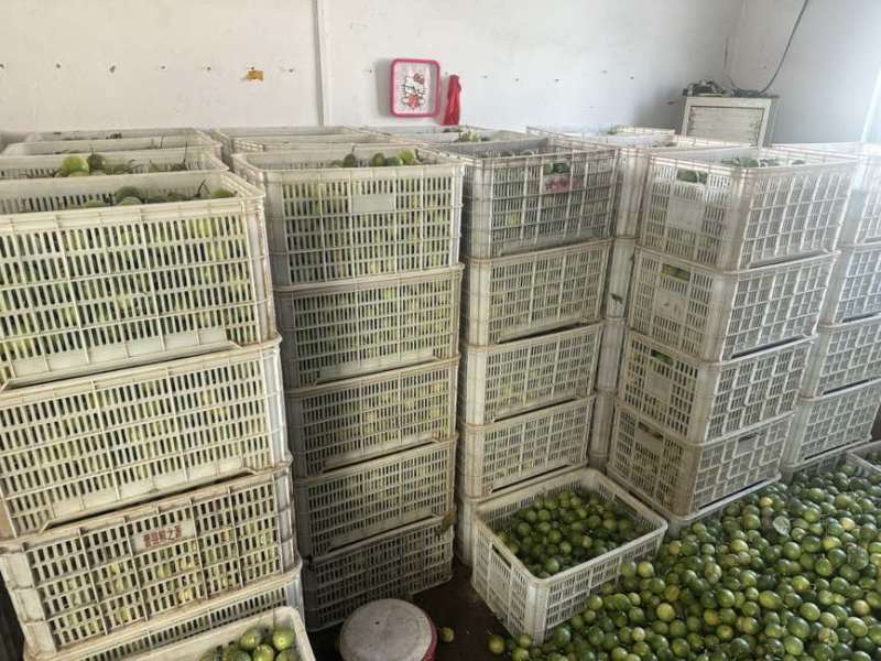 百香果