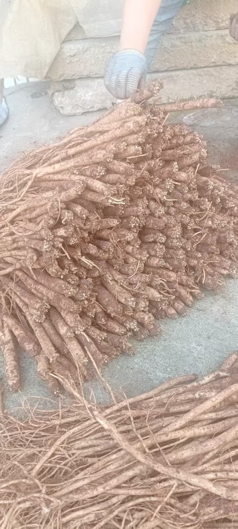 云南陆良龙海乡臭药
