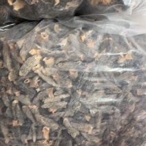 羊肚菌四到级干货七妹