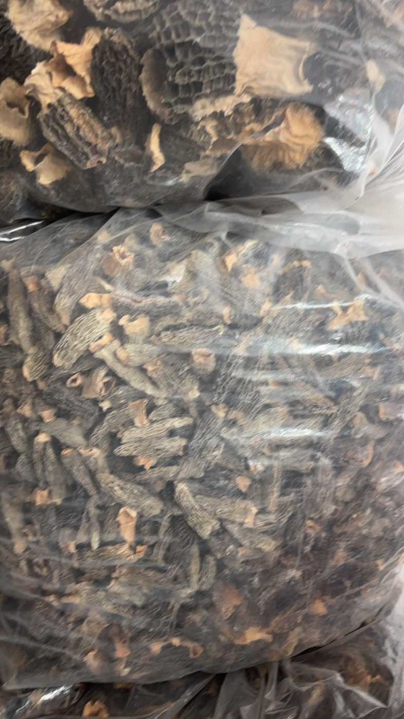 羊肚菌四到级干货七妹