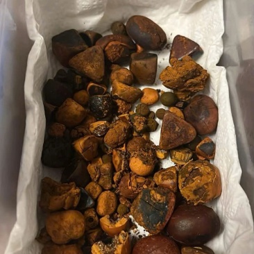 天然牛黄