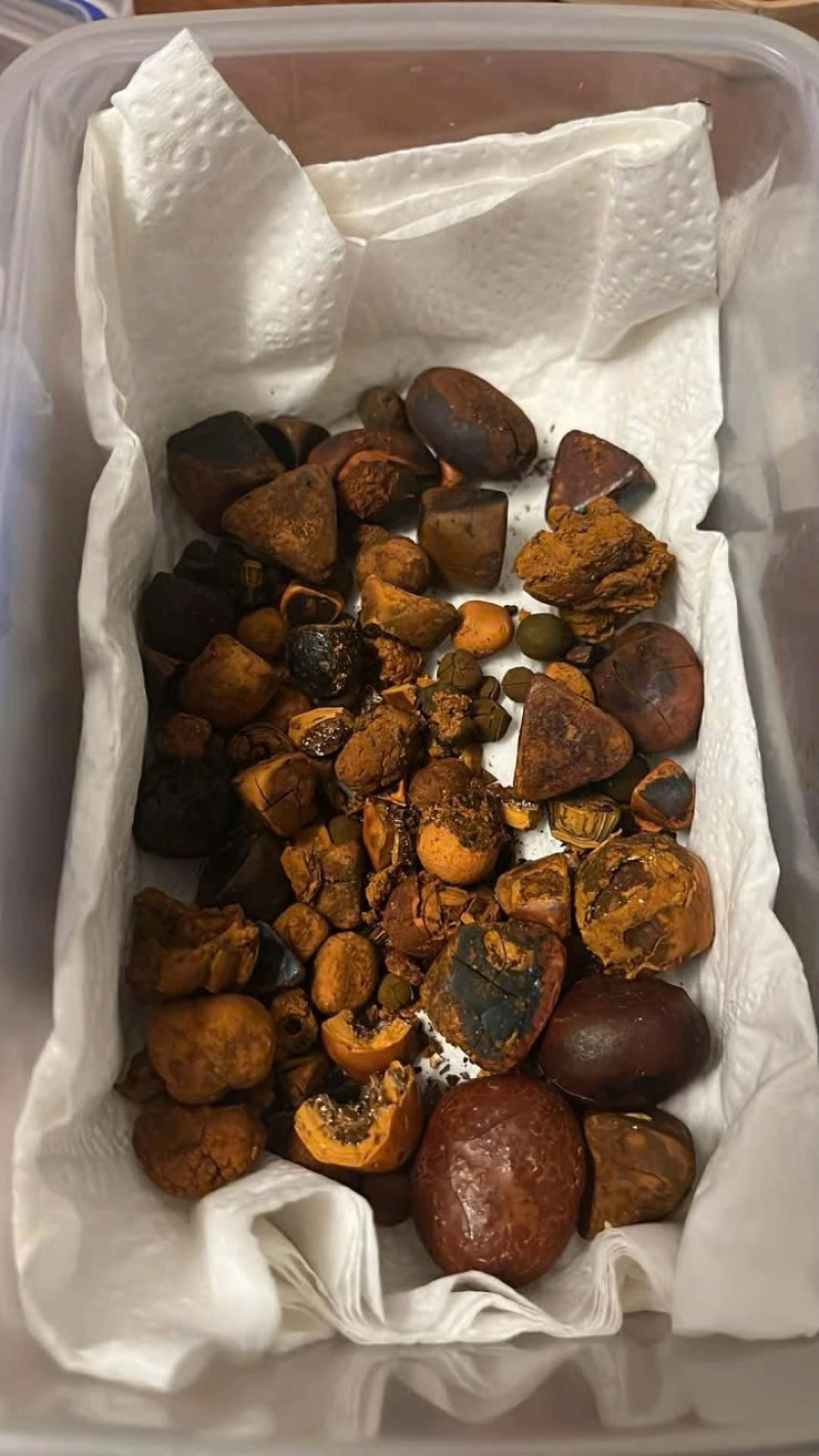 天然牛黄