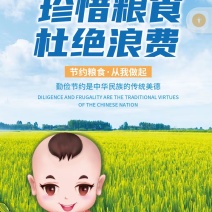 南粳9108海安大米