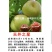 桃树苗