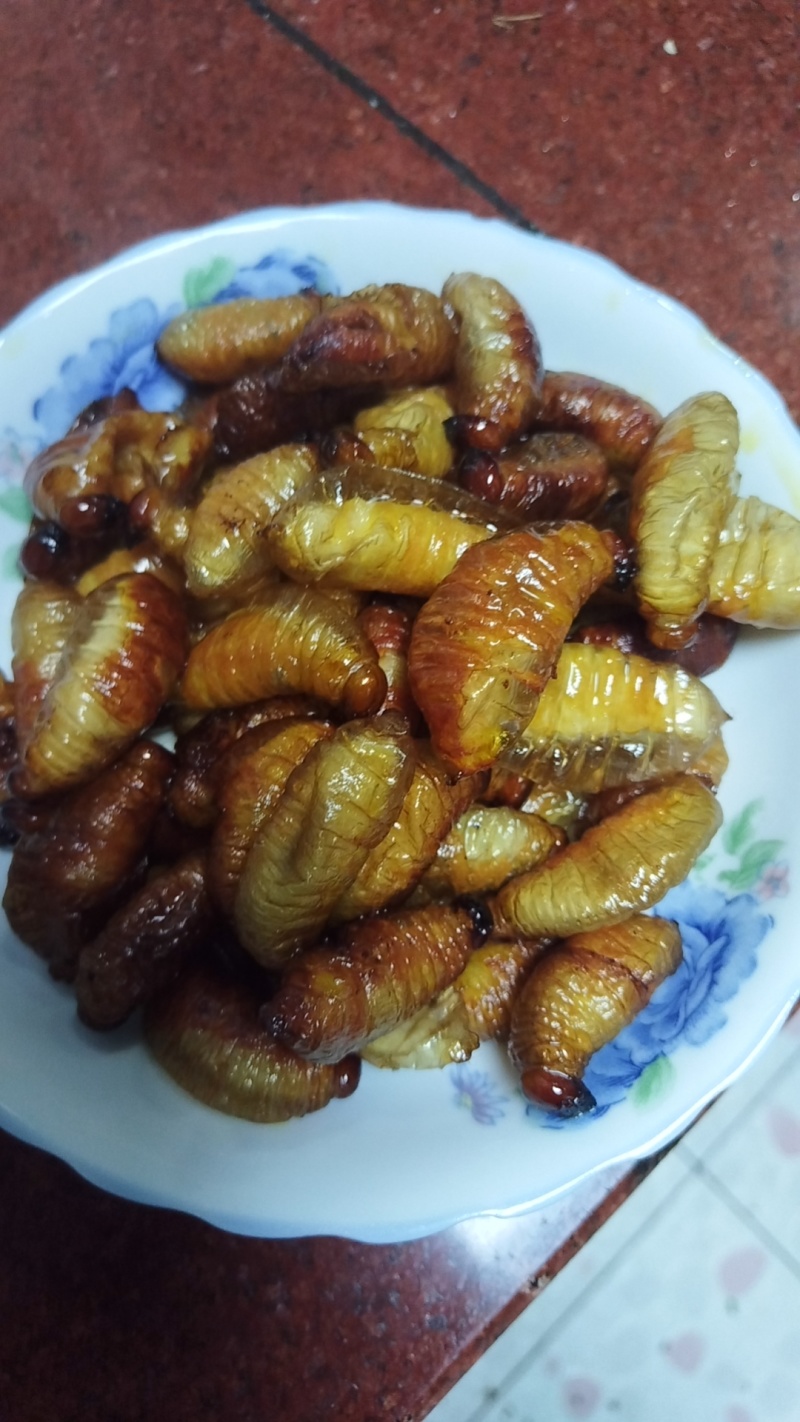竹笋蛹