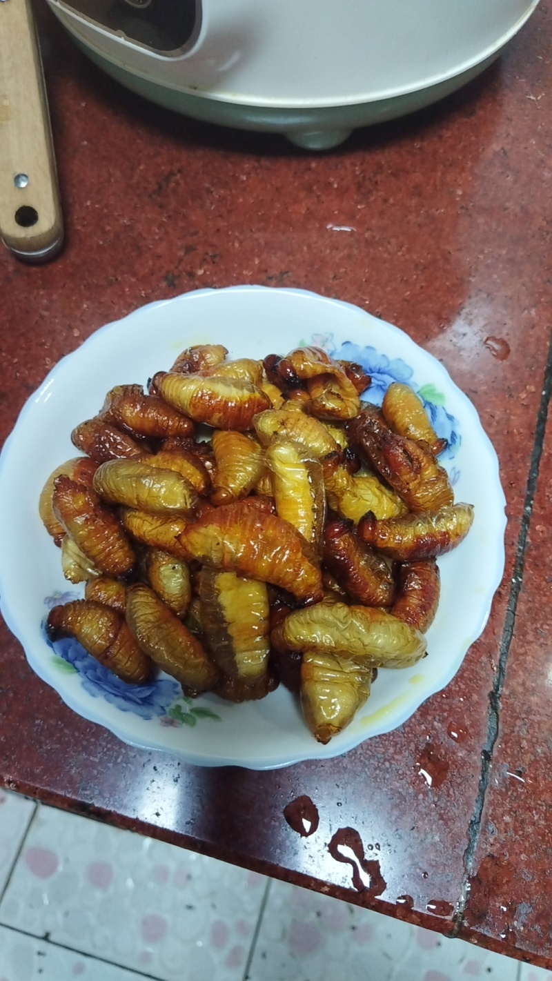 竹笋蛹