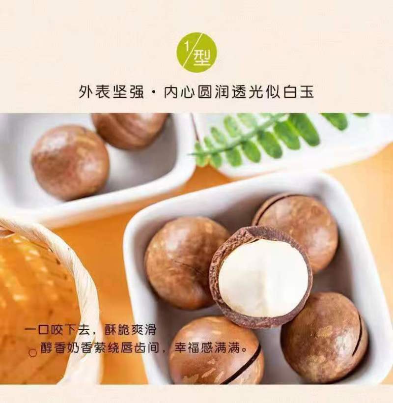 夏威夷果电商货供大货，电商一件代发